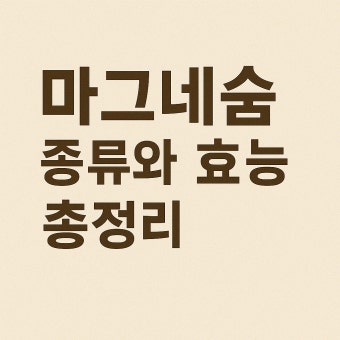 마그네슘효능