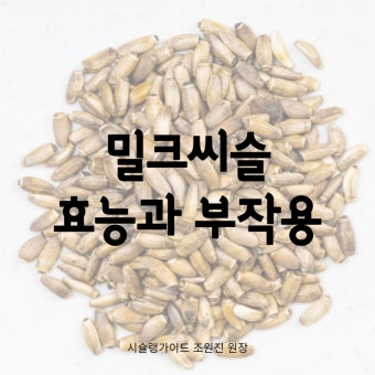 밀크씨슬효능